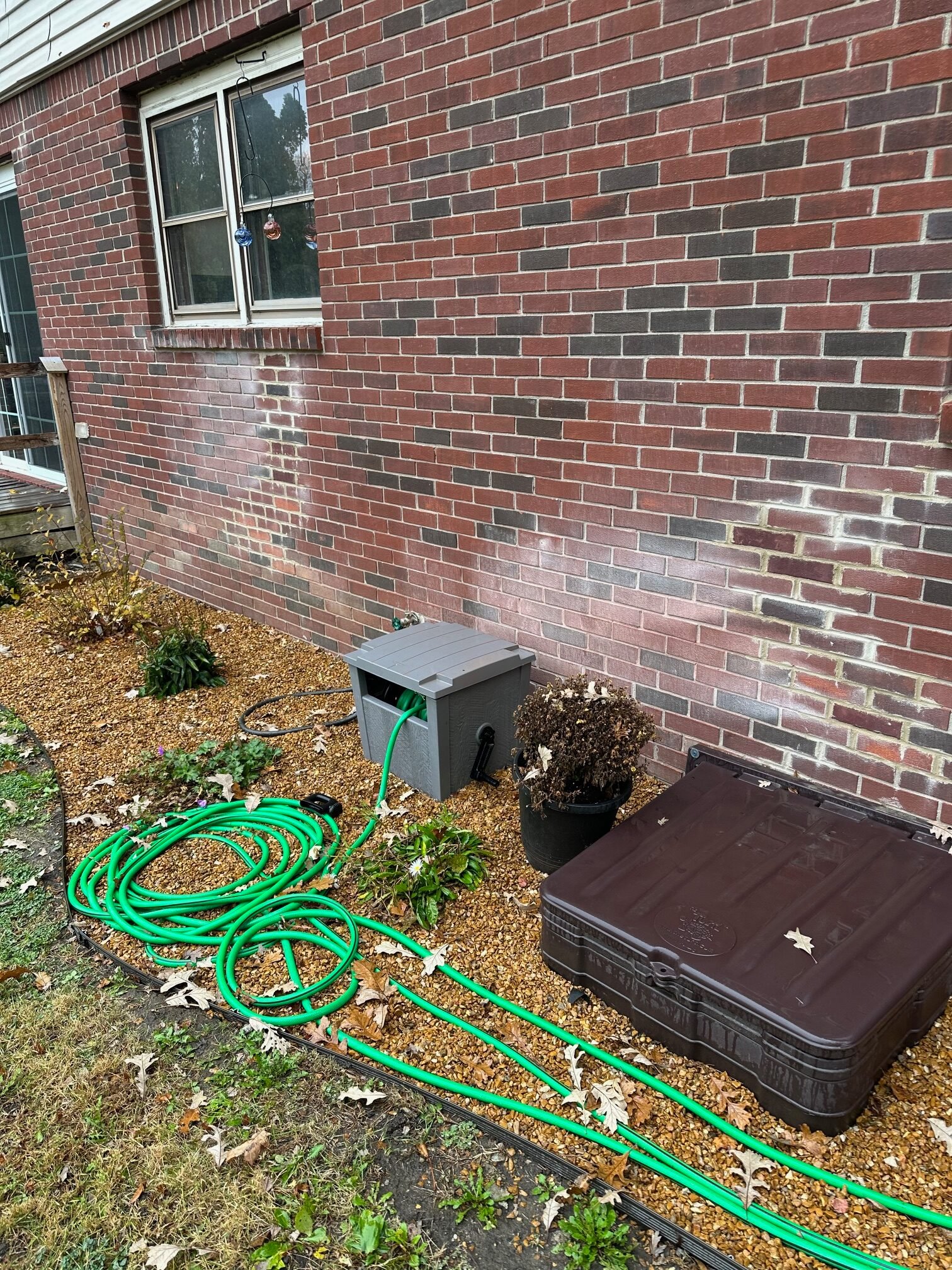 Efflorescence before removal