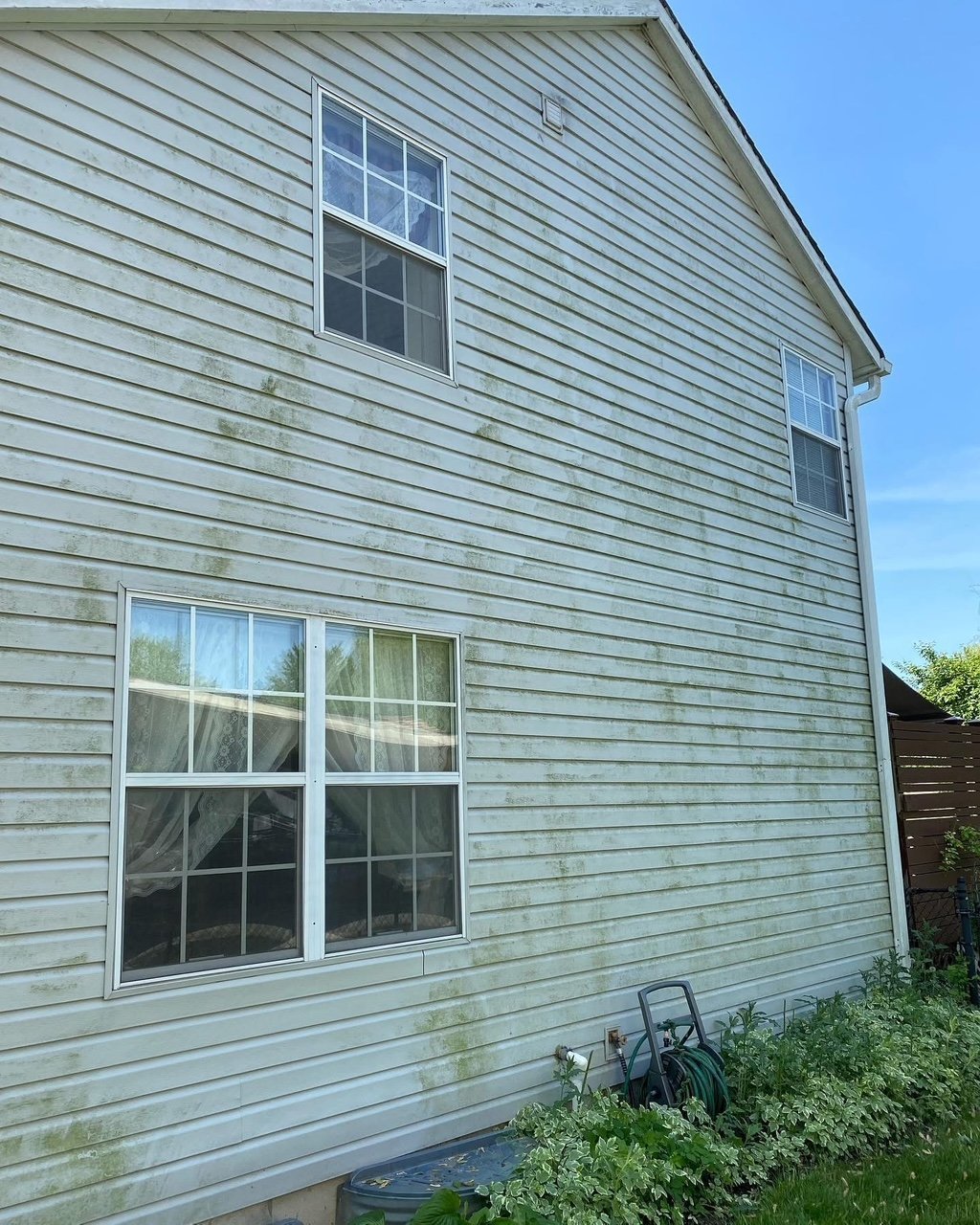 Growth on vinyl siding before washing